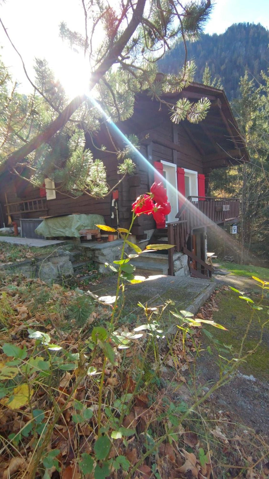 Petit Chalet Rustique Et Bucolique Bovernier Eksteriør billede